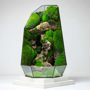 Bring Nature Indoors with Ome