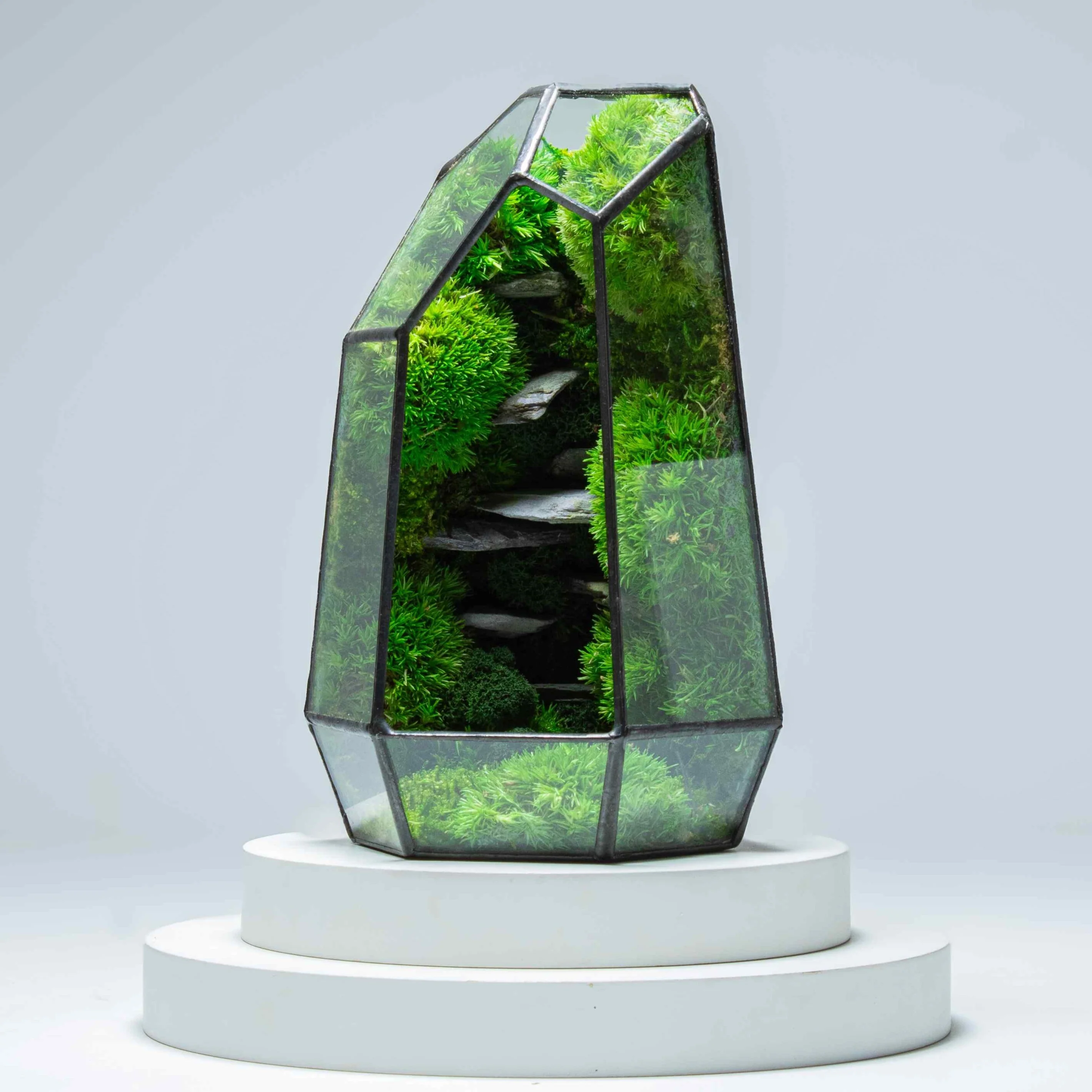 All Terrariums - International